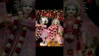 Feel This Song shortsmauli Idhate