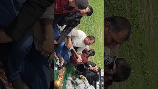 картинка: сари кух наврузи