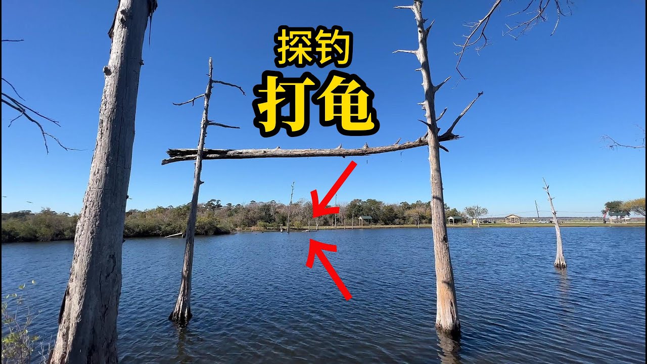 【冬日探钓】什么情况?打龟了,但又没空军!| #打龟 #空军 - YouTube