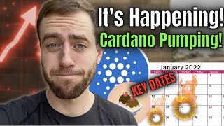 WATCH THIS BEFORE JANUARY 20! HUGE CARDANO NEWS FOR HOLDERS!