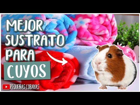 Video: Revestimientos lavables para jaulas de cobayas - Tutorial de costura