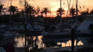 Marina CostaBaja Designed & Built by Bellingham Marine