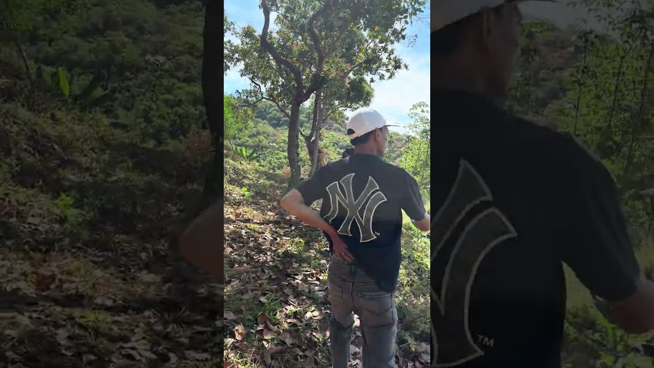 8héc giá chưa tới 8ty