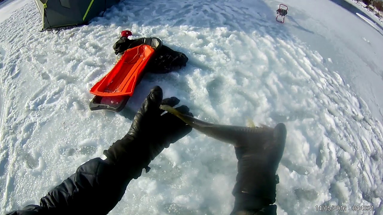 Ice Fishing Spots Montreal 101: Walleye under the Champlain Bridge!