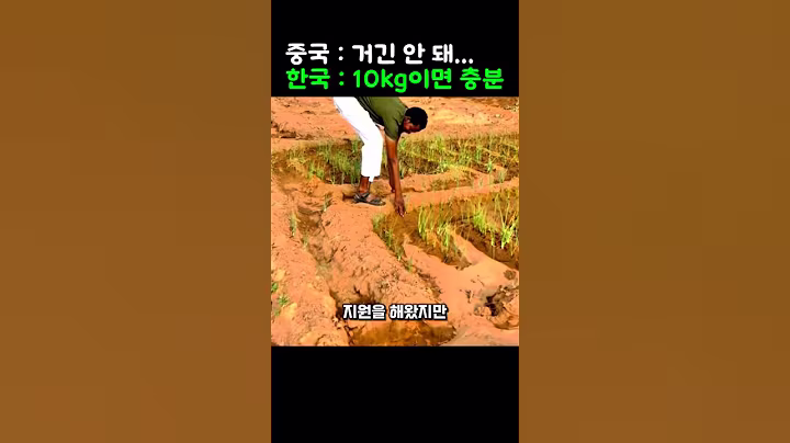 중국 일본도 실패한 아프리카 기근, 한국 쌀 10kg이 뒤집어버린 레전드