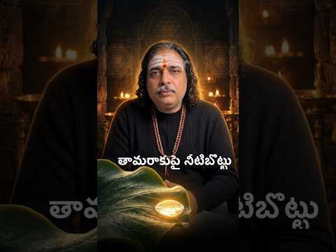 తామరాకుపై నీటిబొట్టు లాంటి జీవితం! 💧 | Bhaja Govindam #Shorts #telugudevotional