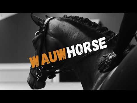 Video: Hvilke Dyr Var Forfedrene Til Den Moderne Hesten