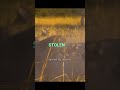 Hyenas vs. Wild Dogs: Savanna Battle for Survival #shorts