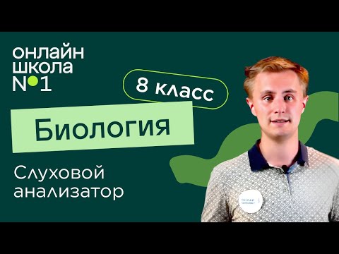 Слуховой анализатор. Видеоурок 9. Биология 8 класс