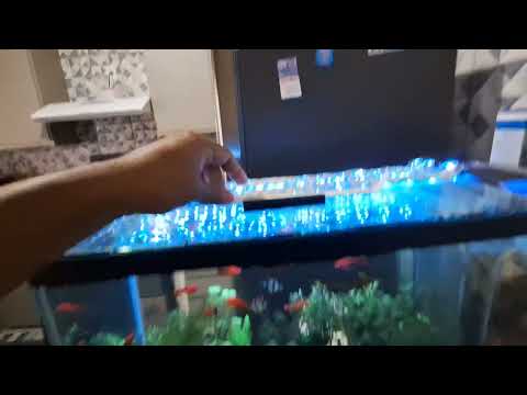 FIZ UMA LUMINARIA DE LED CASEIRA PARA MEU AQUÁRIO | SERÁ SE ESSA LUMINOSIDADE É IDEAL ?