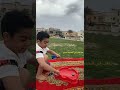 لعب البلابل في الحديقة