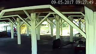Lady caught on security cam chased out of the chicken coop by rooster