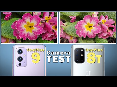 OnePlus 9 vs OnePlus 8T Camera Comparison