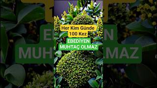 Her Kim Günde 100 Kez Yaparsa Kimseye Muhtaç Olmaz