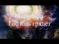 043 Осмелитесь ли Вы отличаться от других