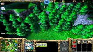 Warcraft 3 - 4v4 RT 073