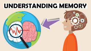How Your Memory ACTUALLY Works (and why you forget things)