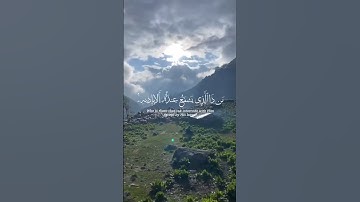 القارئ الشيخ محمد الفقيه#قرآن#اكسبلور #راحه نفسه#ماشاء الله