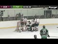 Game Highlights: Botany Swarm vs. Phoenix Thunder  - NZIHL 5th of April 2025
