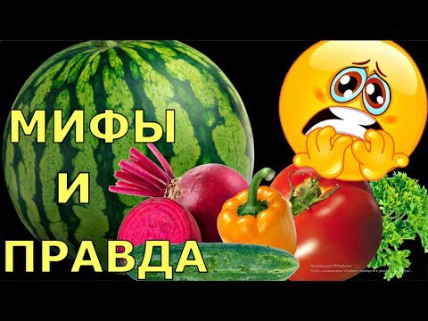 АЗОТ в земле, НИТРАТЫ в овощах.