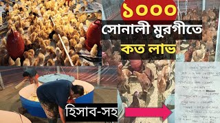 সোনালী মুরগির যাবতীয় আয়-ব্যয়ের হিসাব|সোনালী সুপার হাইব্রিড|Poultry farming techniques.