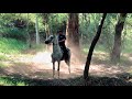 Llevamos A Mi Caballo Por Primera Vez Al Bosque (Termina Mal) | Yo Soy GM