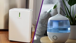Humidifier Vs Dehumidifier - What's the Difference? | Which One Should You Choose?