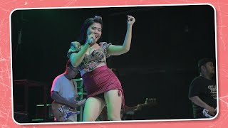 Novi Arista - Midua Cinta - Versi Albra Music