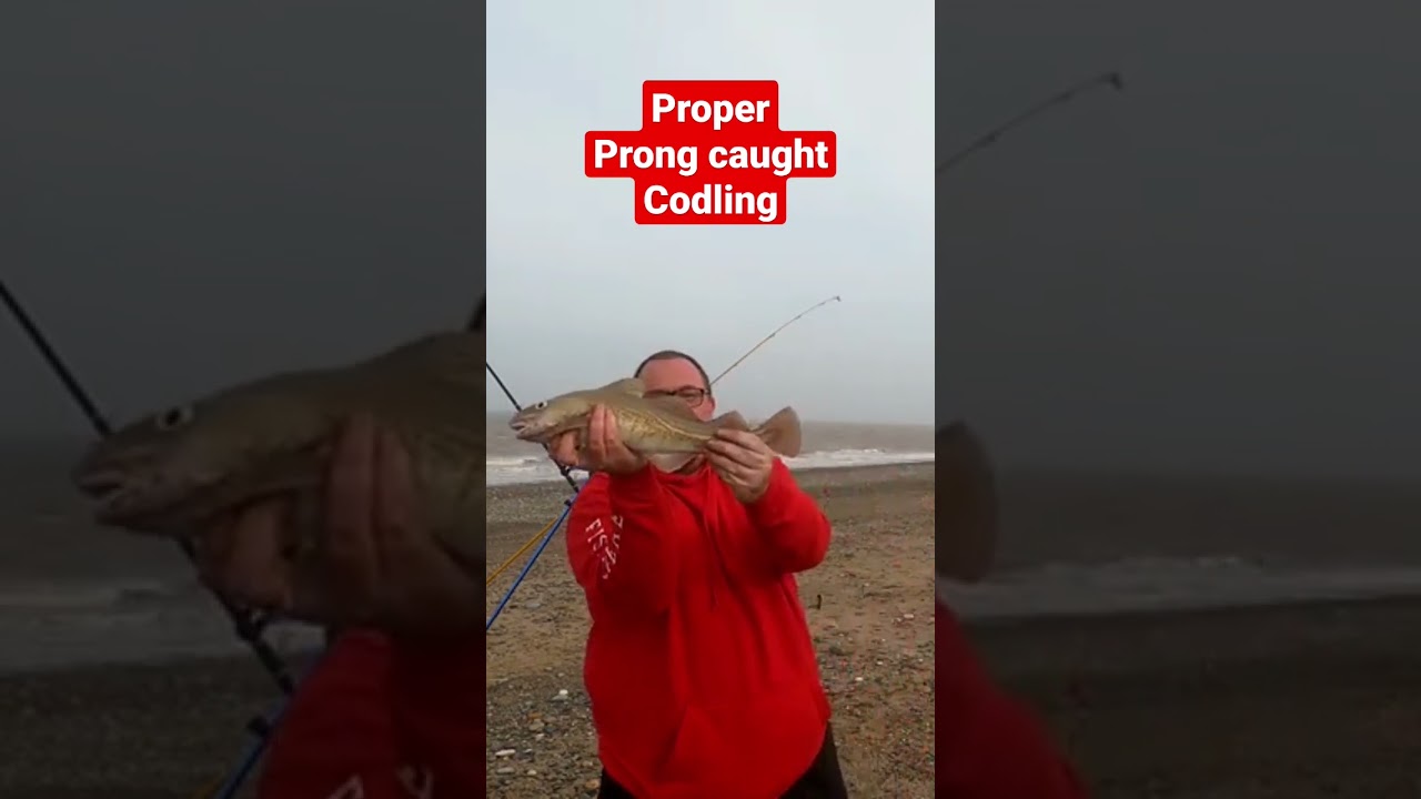 Cannot Believe my Luck!! 