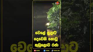 වෙලේ සුදාට දෙවෙනි නොවූ කුඩුලොව රජා