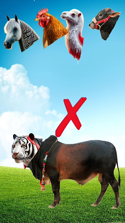 Download lagu qurbani Mubarak Islamic status 🎧🫀#tth#vfxshorts #vfxediter #vfx#trending #mashallah #motivation