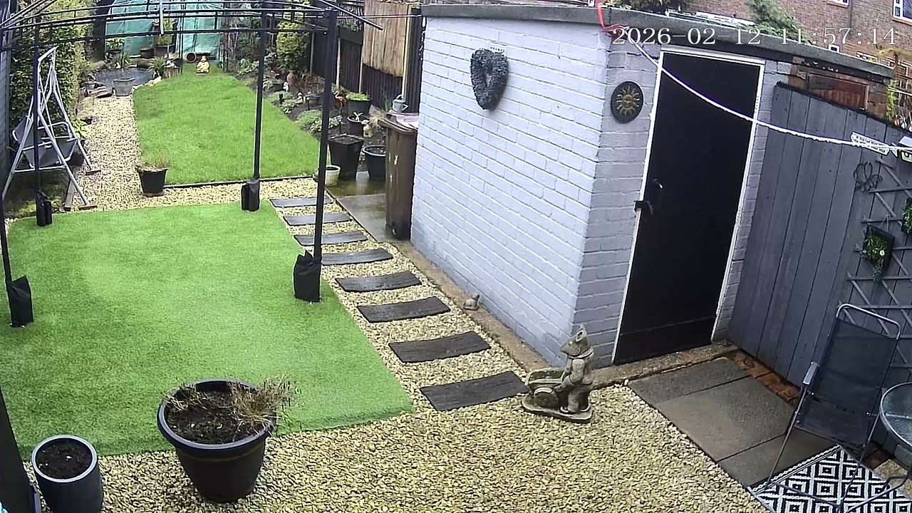 (12/2/2026) 11:55am HULL (Uk) BYC [0525]