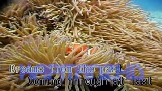 Love Is All That Matters By Eric Carmen Kumyoung Karaoke Muzen Ex Minus Oneinstrumental