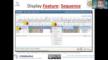 S1L6 Lec6 MSA Viewer to Make Analysis Easier 2025