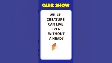 Daily Quiz Shorts 🔥 | Can You Solve This? #quiz #mindbendingquiz #riddles #brainteasers