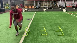 SL Medial / Lateral Hurdle hops STICK