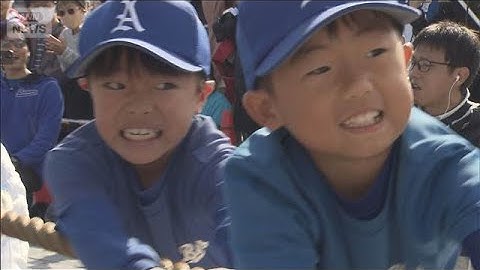 墨田区vs台東区　隣同士が“1メートル”をかけて大勝負(2025年11月17日)