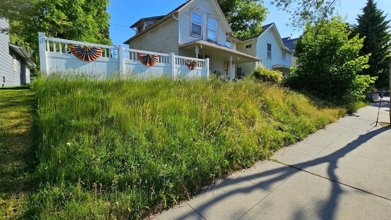 She Stood Outside DISTRESSED So I Decided To Make Her Day