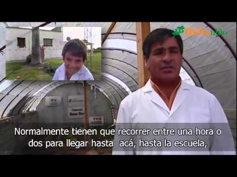 Construcción de huertas agroecológicas en escuelas rurales para mejorar la alimentación y educación de miles de niños argentinos.