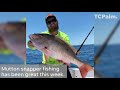 Spring Fishing: Mutton Snapper and Trout are Biting