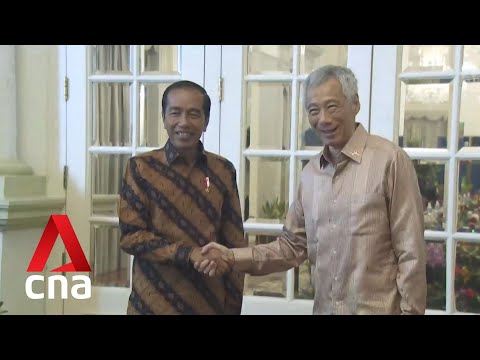 Indonesian President Joko Widodo visits Singapore for leaders&#39; retreat