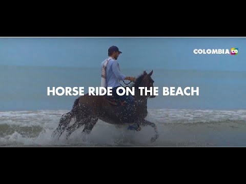 Connect with nature and your heart in Cartagena with HORSES CARTAGENA TOURS