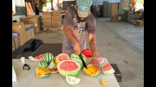 Your Guide to Visiting Bloom Ranch of Acton