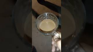 Tea Lover #koylachai