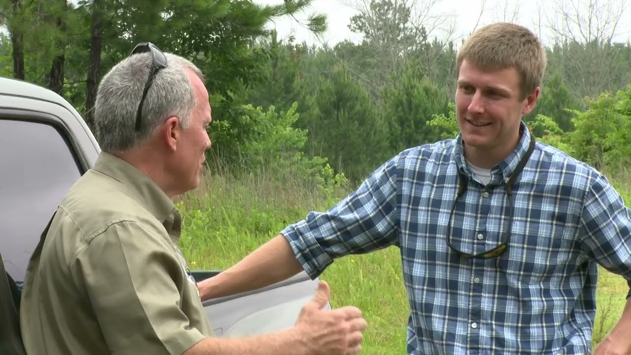 Forest Land Management JS