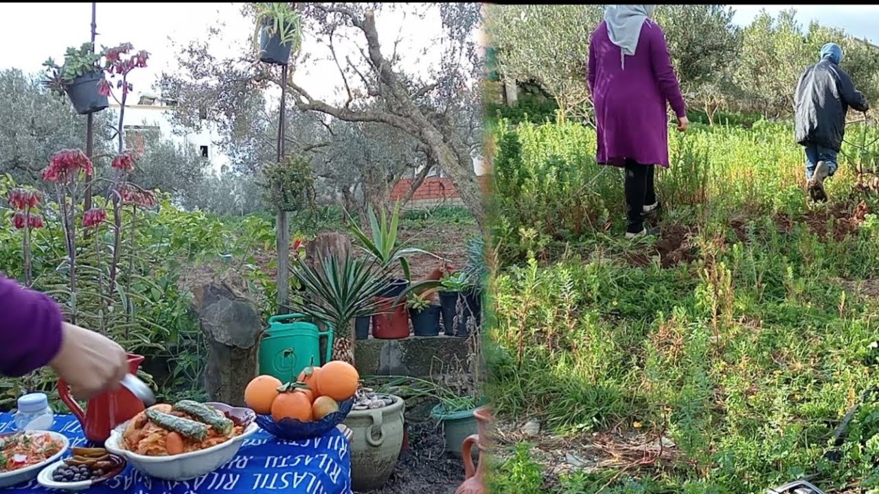 الحياة في الريف التونسي/اعداد مائدة افطار بسيطه ومتنوعه