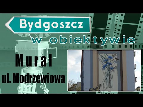 Mural 3D, Bydgoszcz, ul. Modrakowa 58