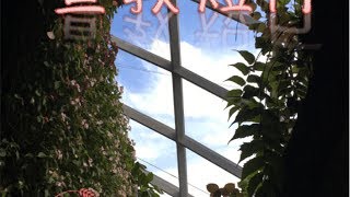 20170421-01 活在世界,怎能不爱世界?