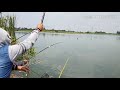 SEMUA YANG MANCING DI KEDINDING SERANG BANTEN PASTI DAPAT IKAN BANYAK