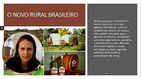 O que é o novo rural brasileiro?